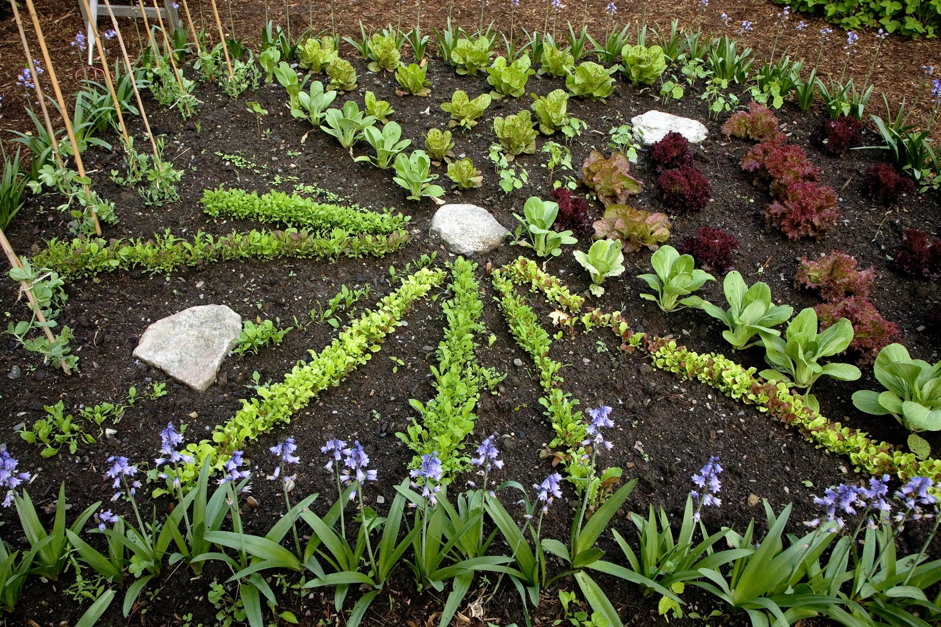 Gardening doesn’t have to End in Winter