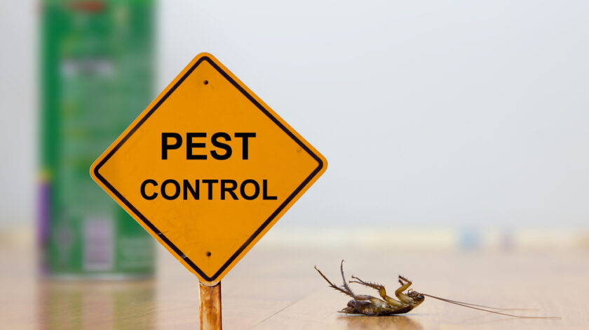 What Are Some Efficient Methods For Controlling Pests in a Household?
