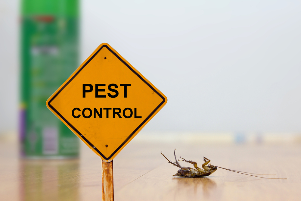 What Are Some Efficient Methods For Controlling Pests in a Household?